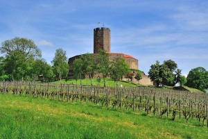 Bild-003_Bild-neu