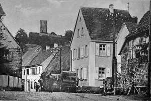 Bild-005_Bild-alt-1