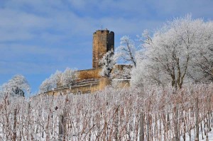 Winterimpression