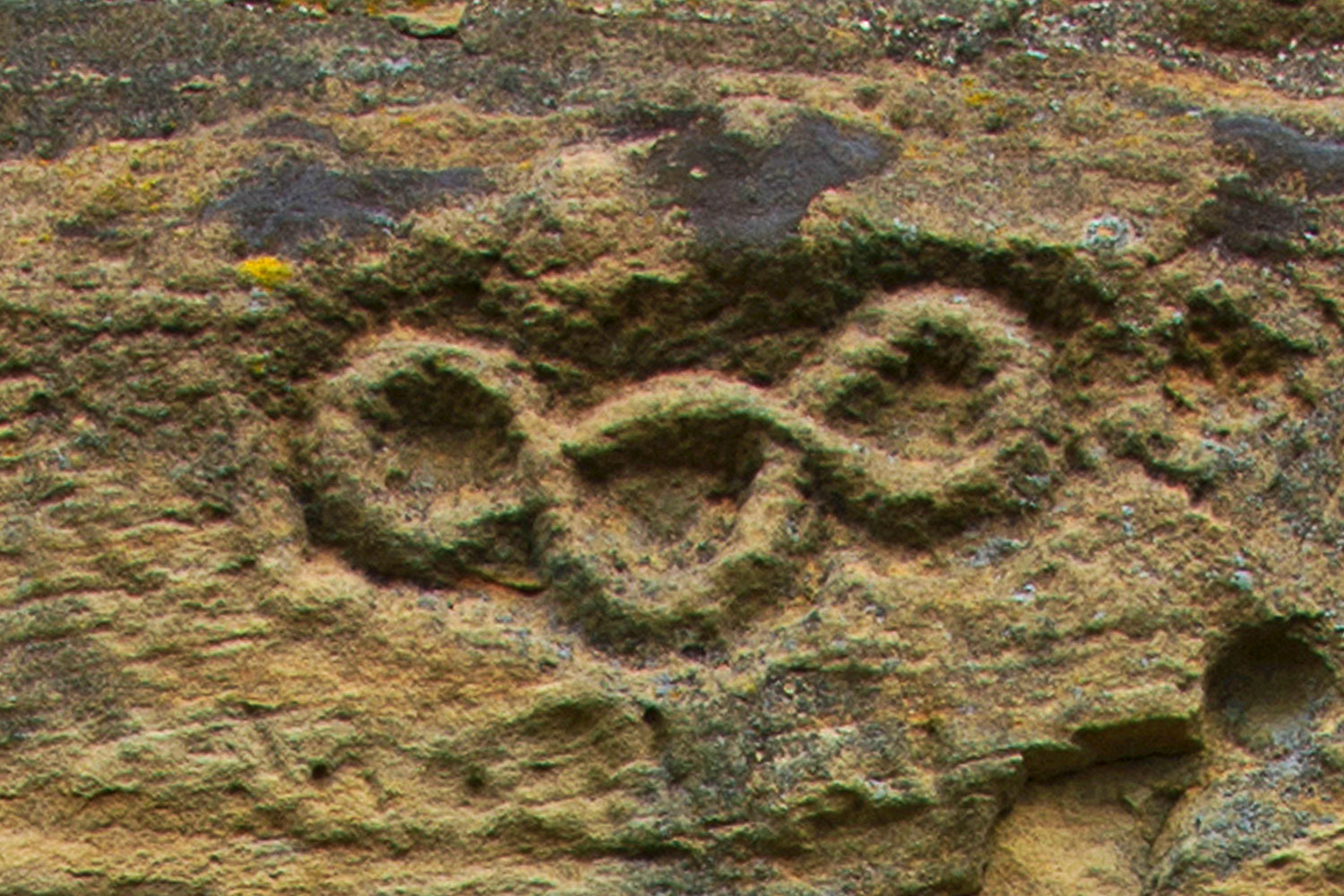 Burg-Steinsberg Frau