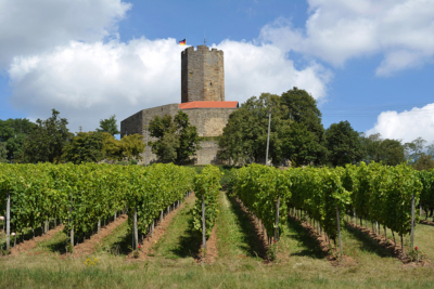 Burg Steinsberg Führung